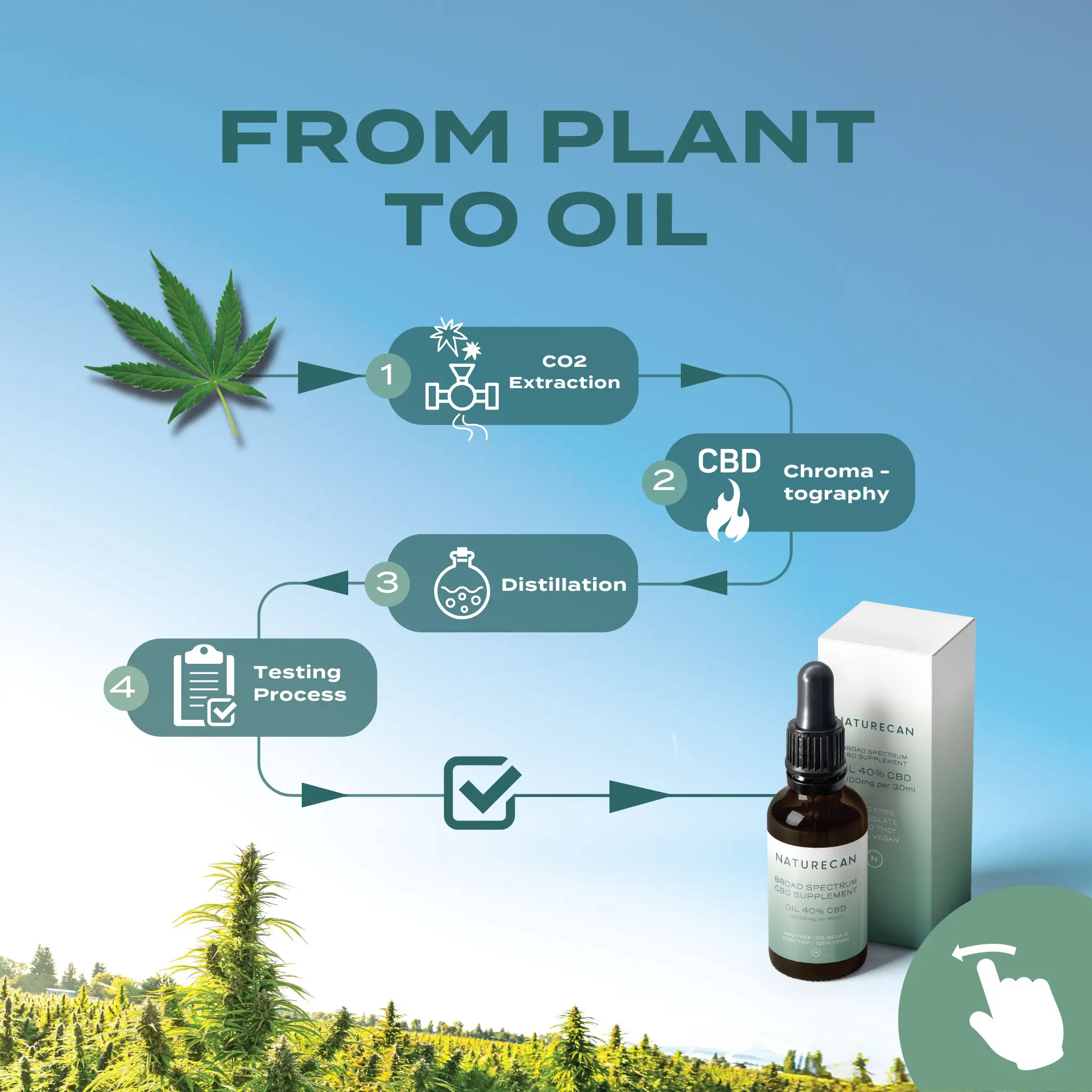 5% CBD Oil - Image 4