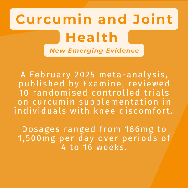 Active Curcumin Supplement - Image 6