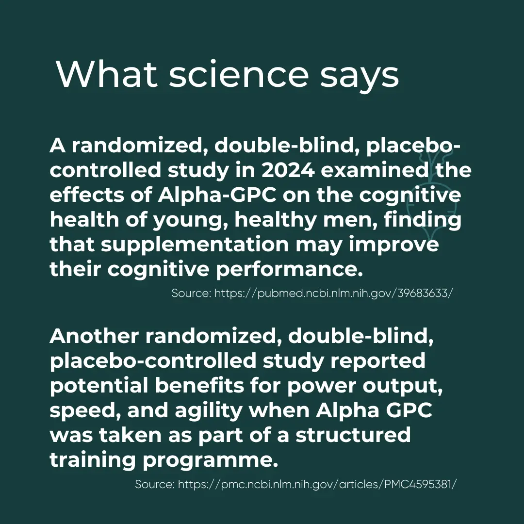 Alpha GPC - Image 4