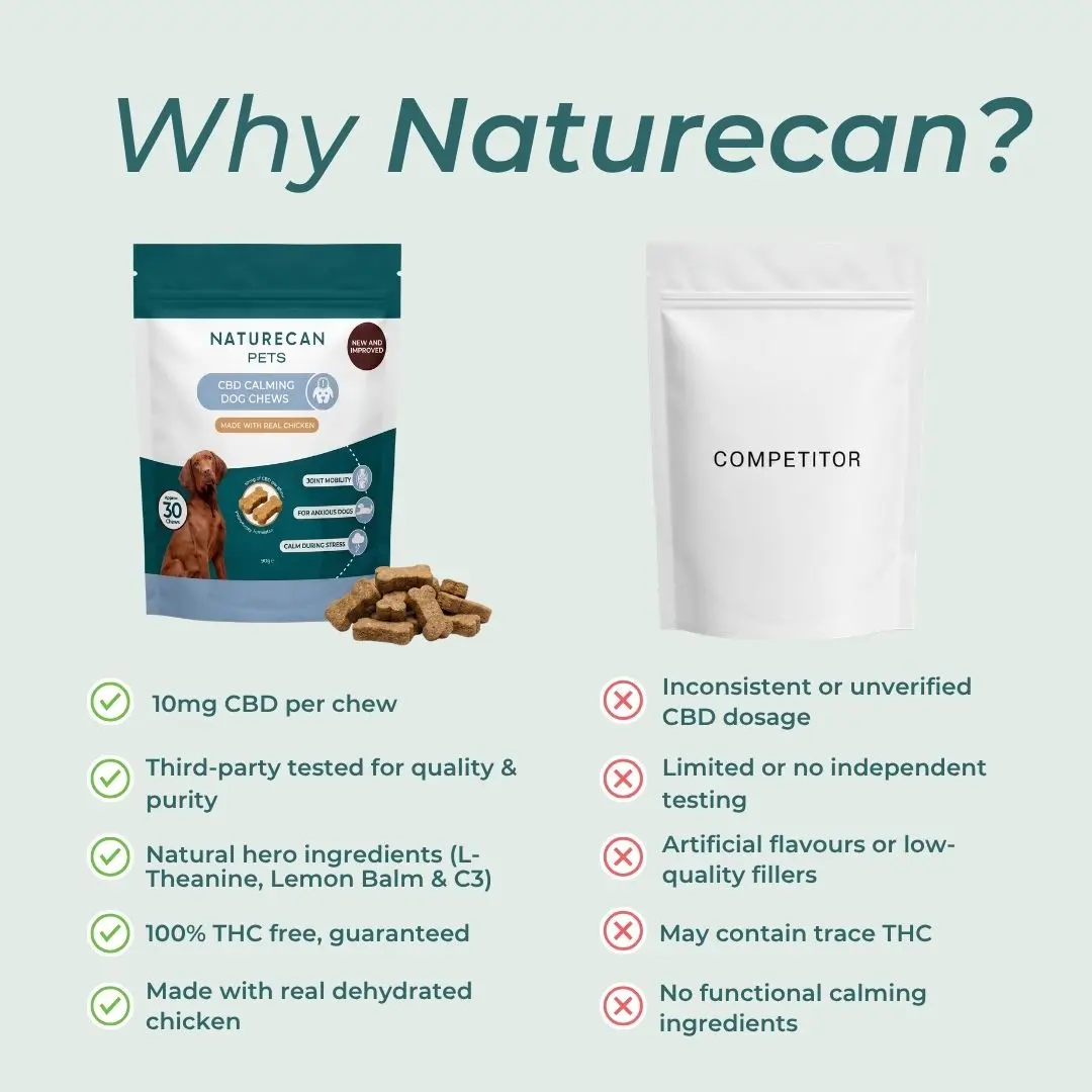 CBD Dog Treats for Calm - Image 11
