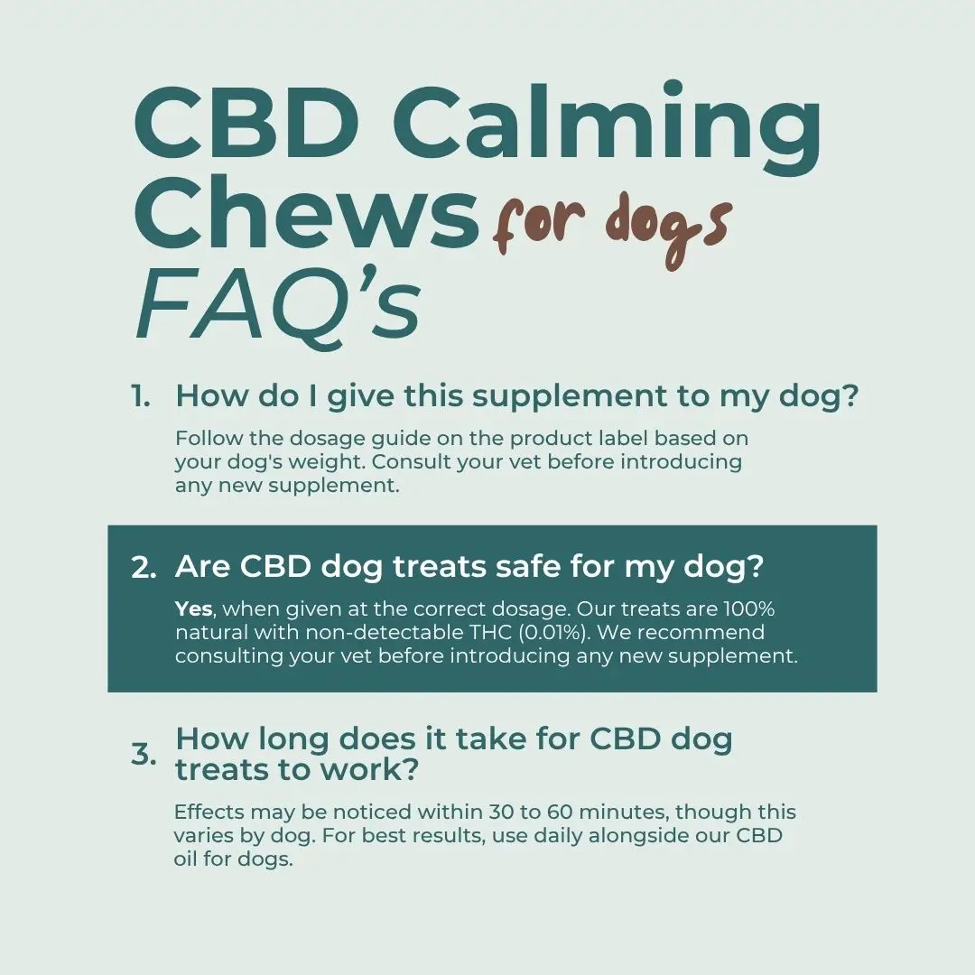 CBD Dog Treats for Calm - Image 12