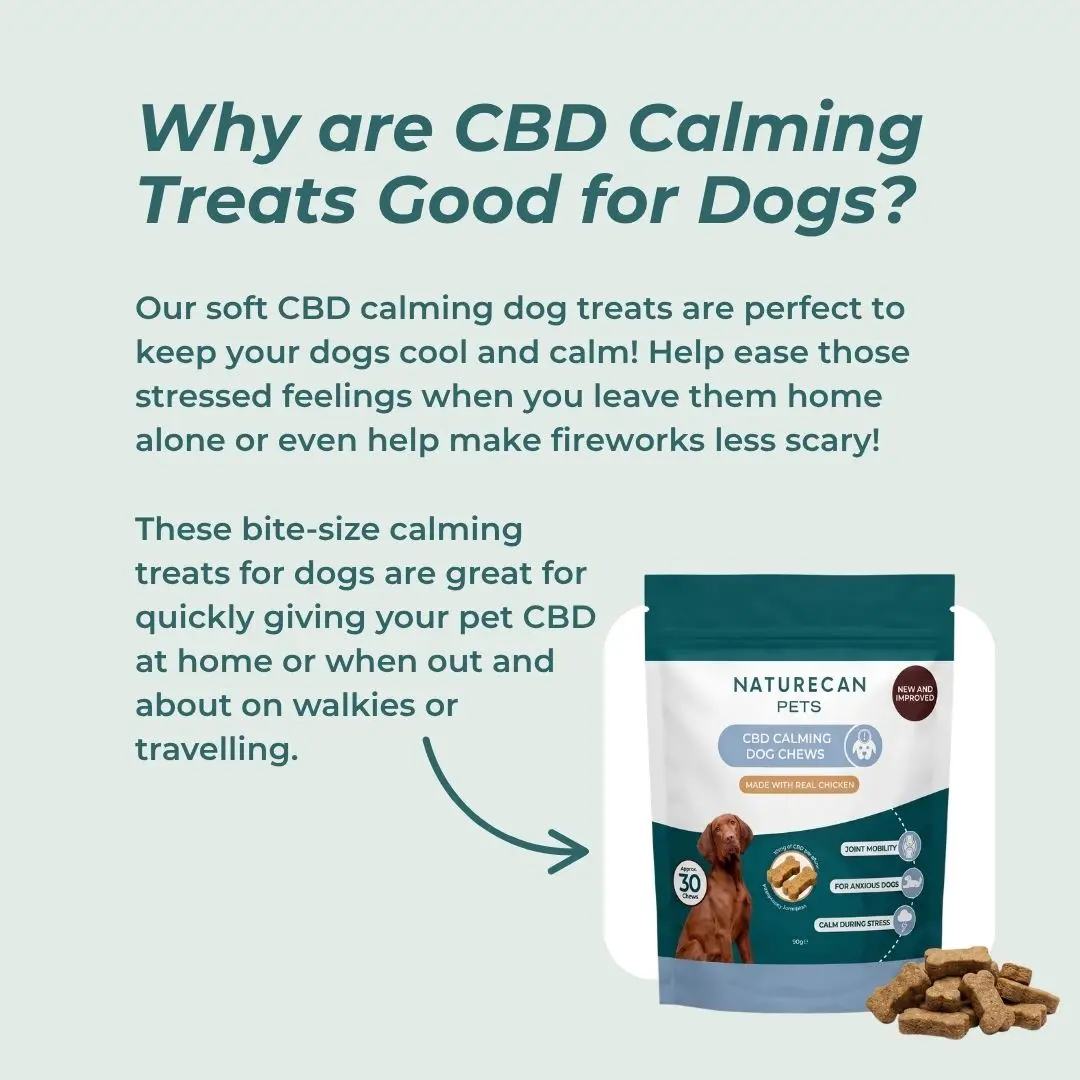 CBD Dog Treats for Calm - Image 8