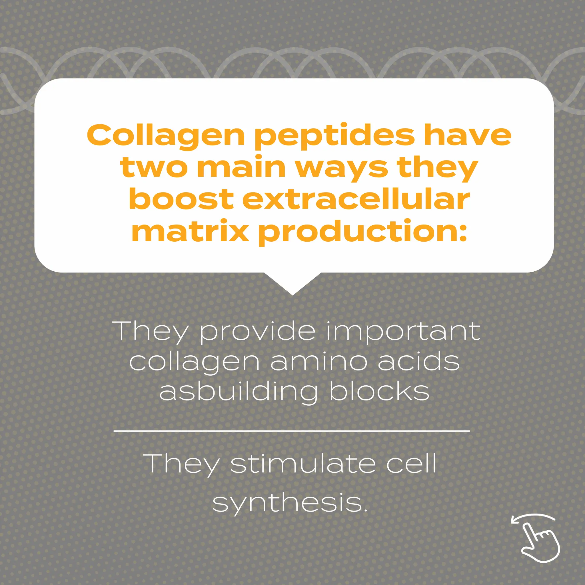 Collagen Peptides Powder - Image 7