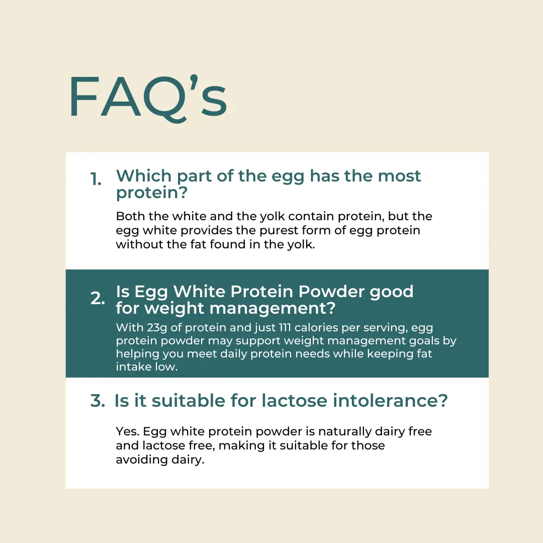 Egg Protein - Image 9