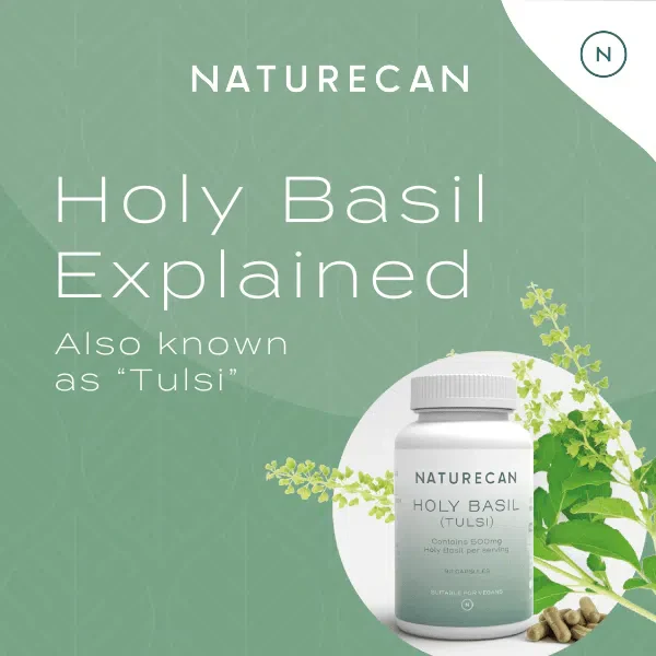 Holy Basil Capsules - Image 2