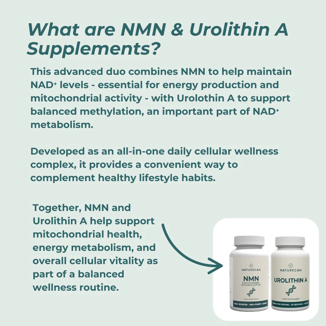Mitochondrial Supplements Bundle - Image 4