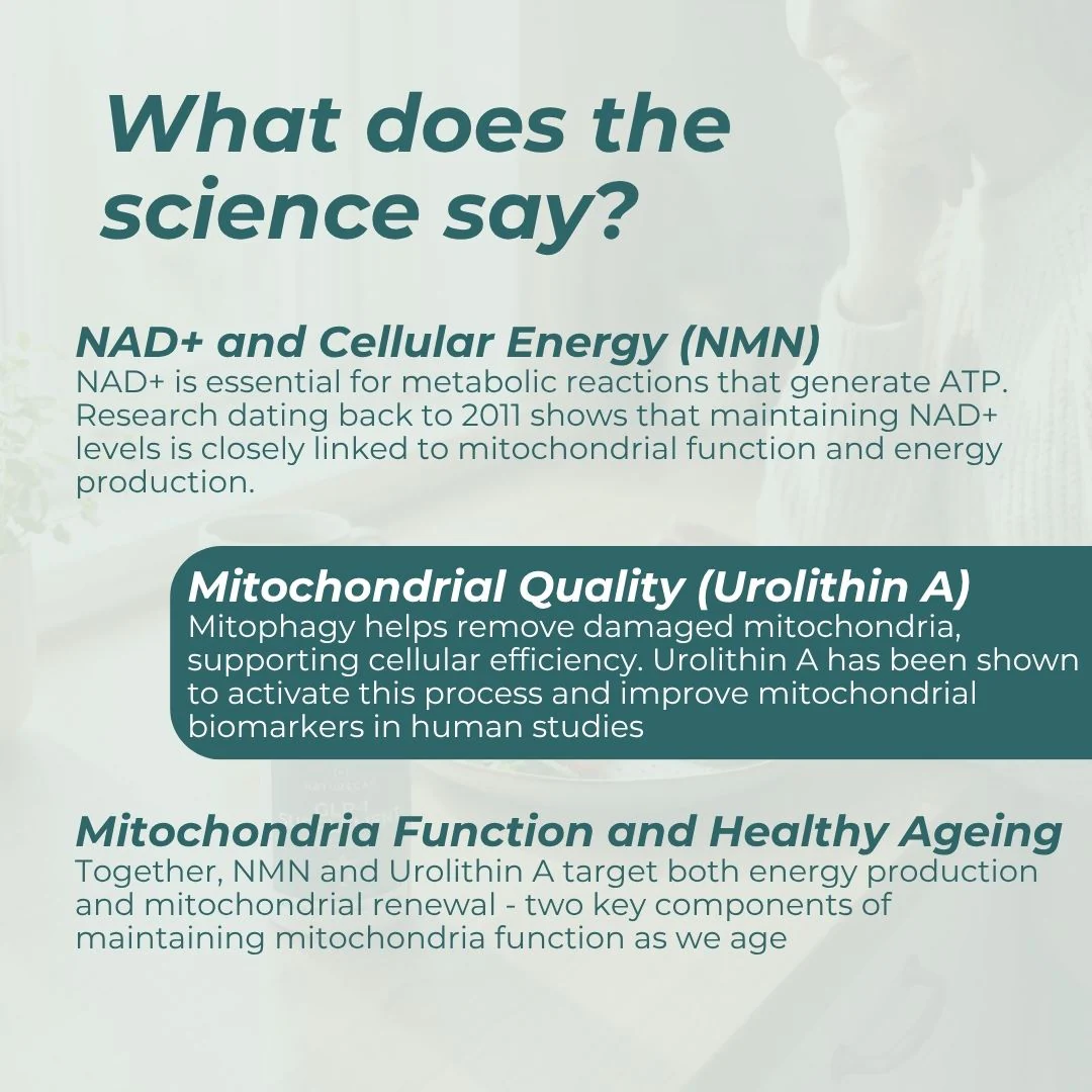 Mitochondrial Supplements Bundle - Image 5