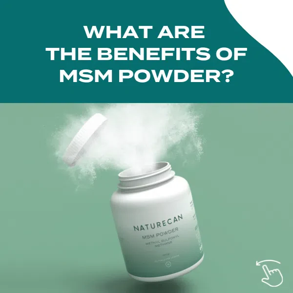 MSM Powder - Image 4