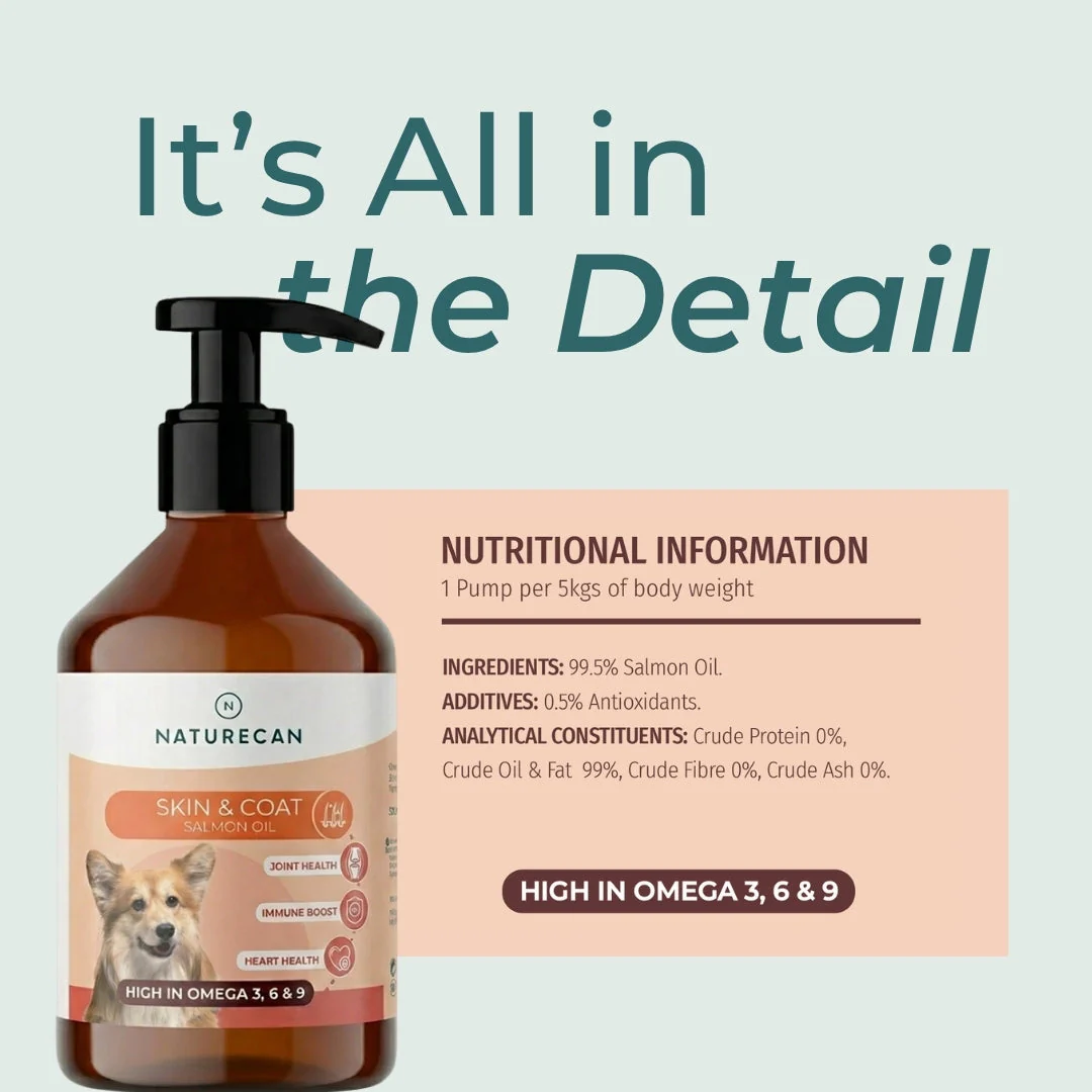 Salmon Oil For Dogs - Image 2