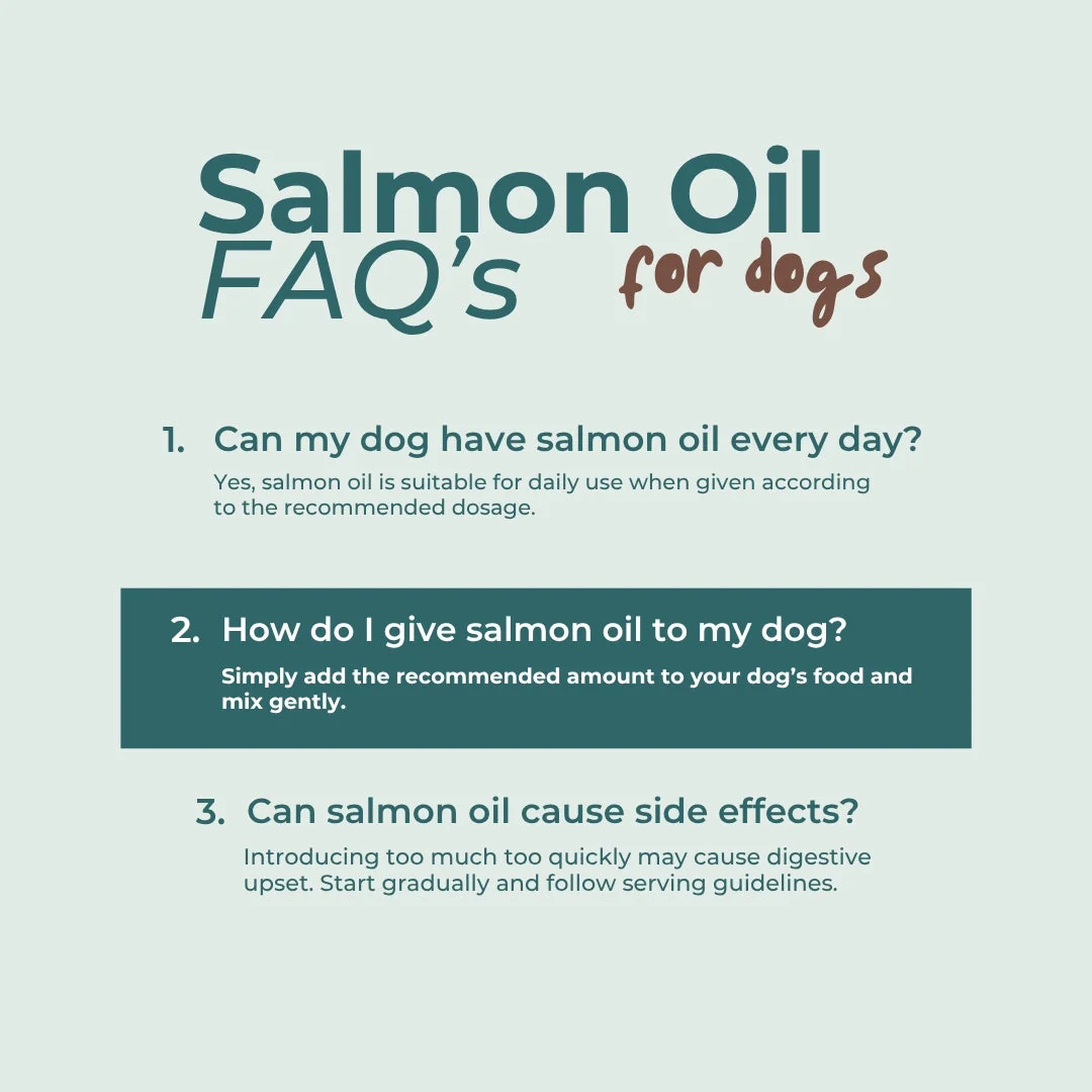 Salmon Oil For Dogs - Image 7