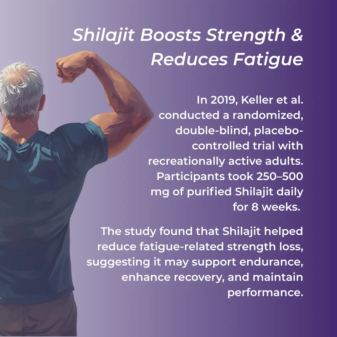 Shilajit Capsules - Image 4
