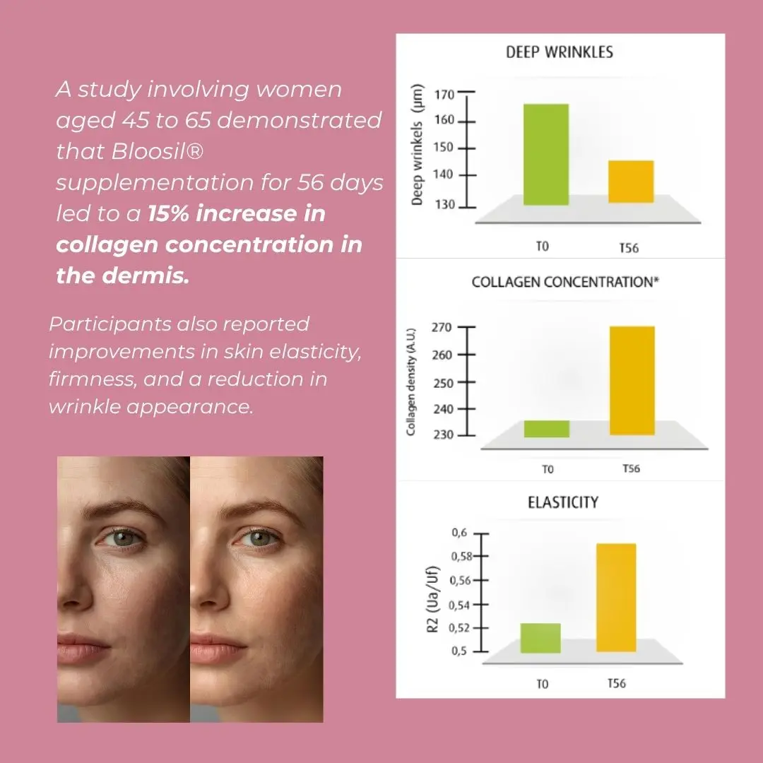 Silica Supplement (Bloosil) - Image 4