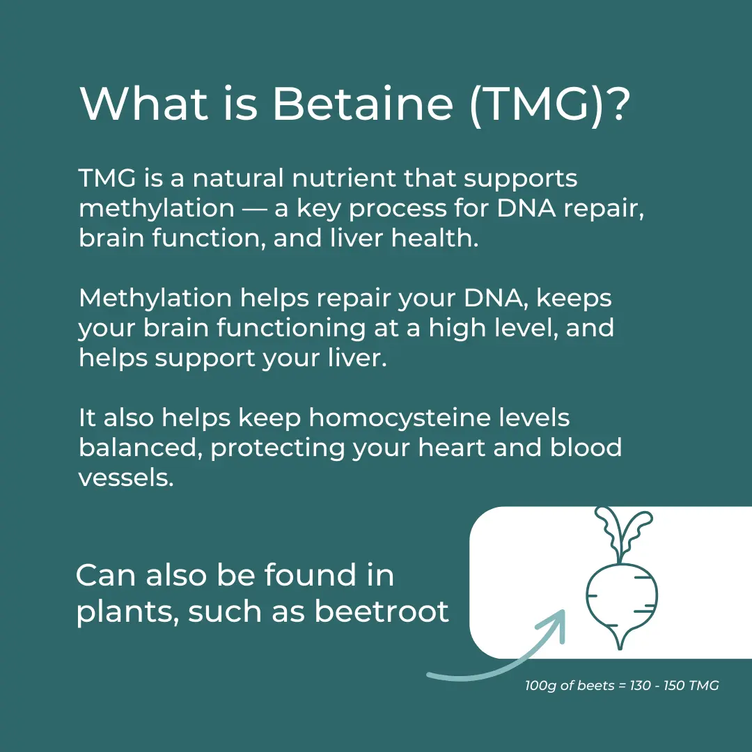 TMG Supplement - Image 3