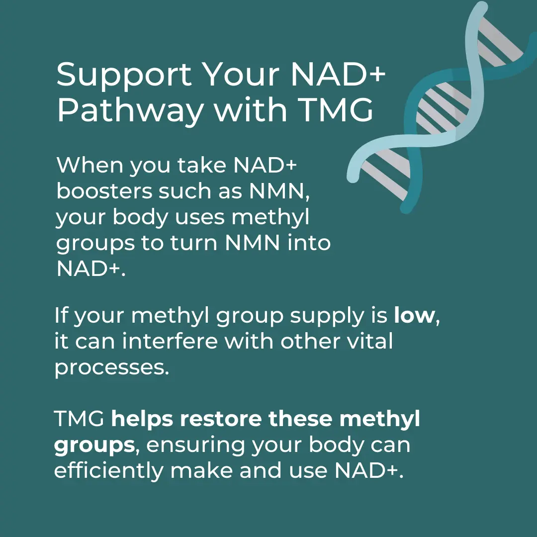 TMG Supplement - Image 4