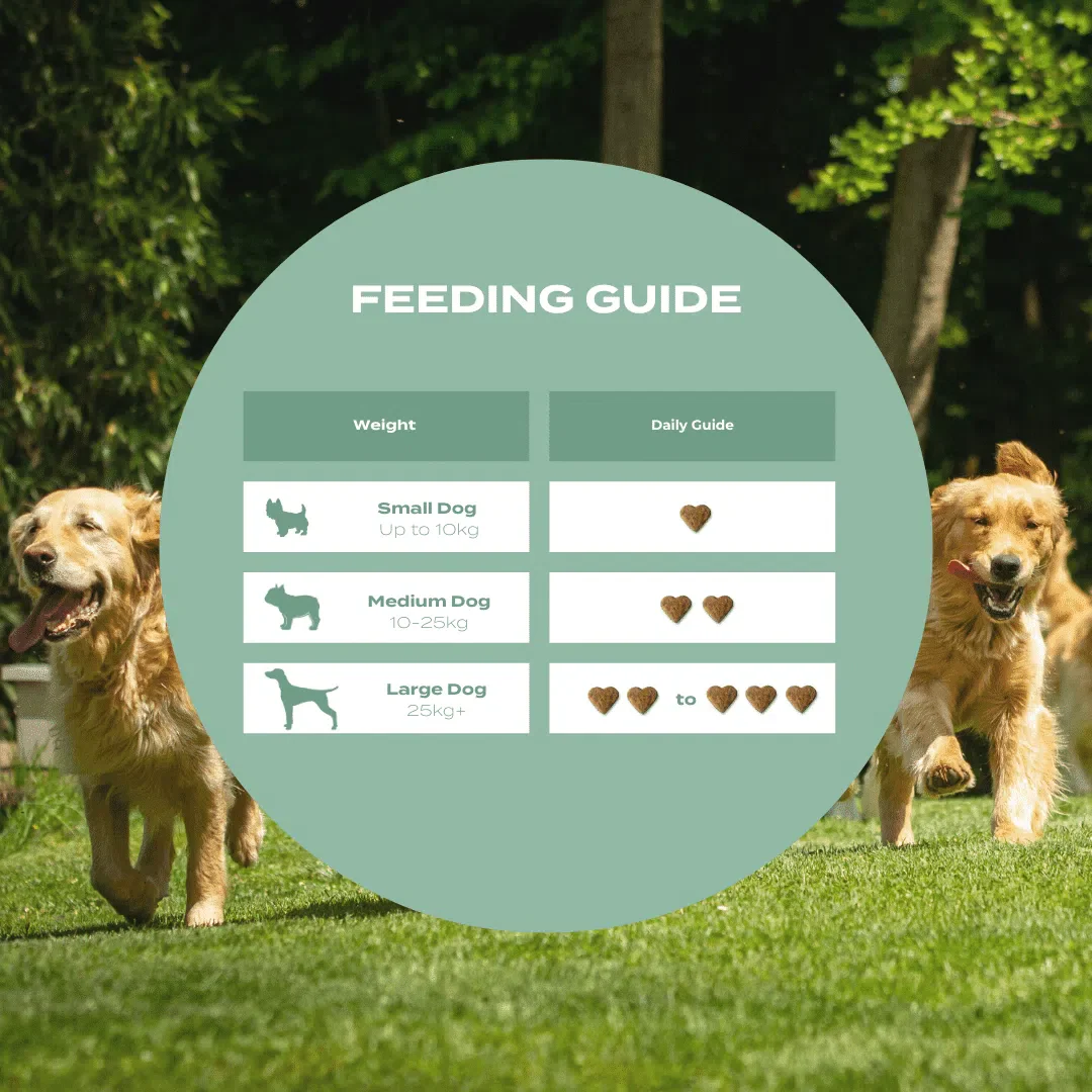 UC-II® Joint Care Dog Chews - Image 3