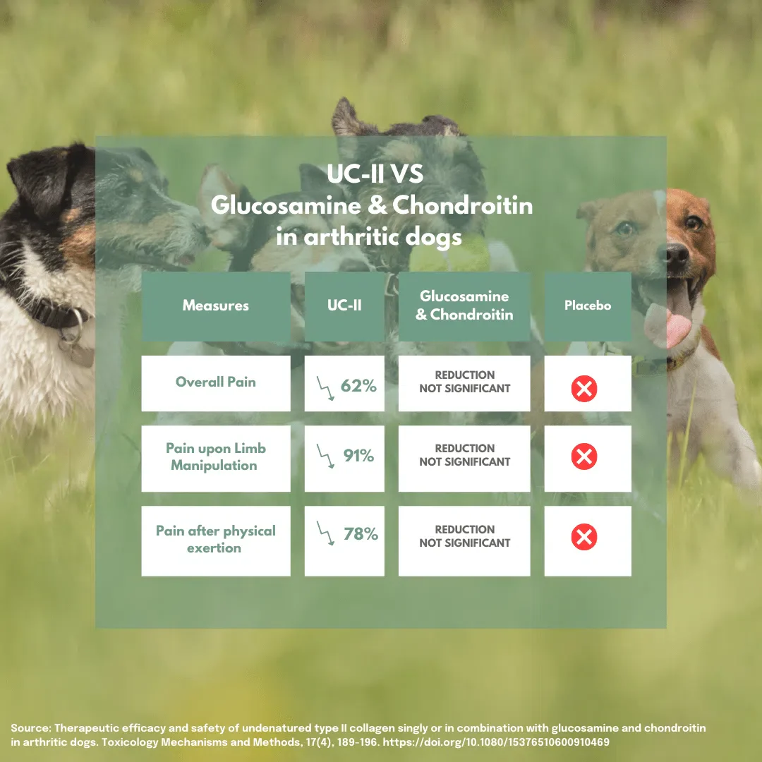UC-II® Joint Care Dog Chews - Image 5