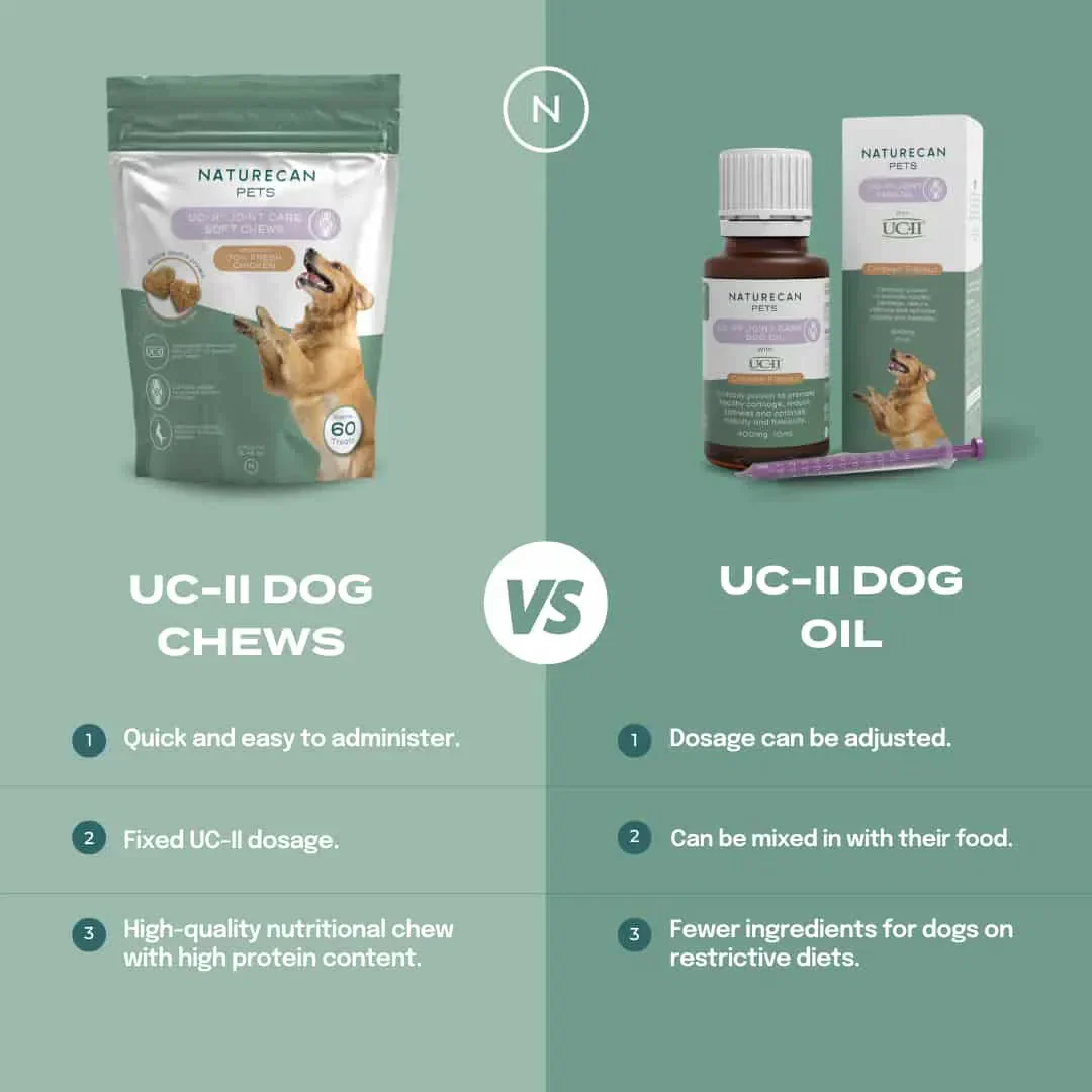 UC-II® Joint Care Oil for Dogs - Image 5